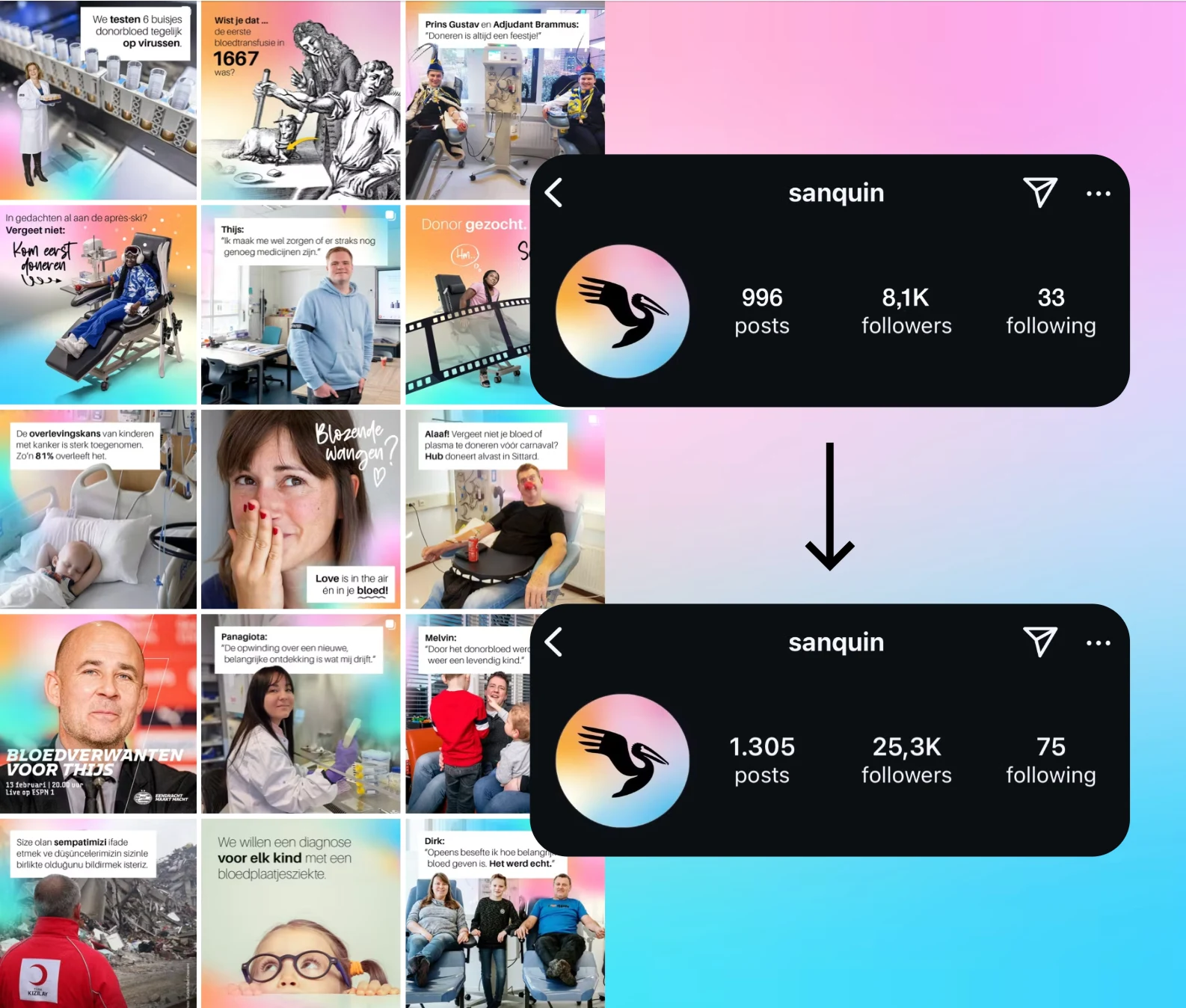 Sanquin social media growth and content overview